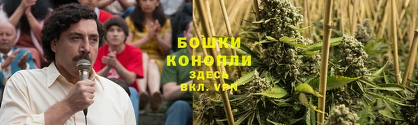 кокс Дмитриев